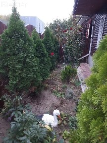 В Будние дни возможна сдача мангальной зоны