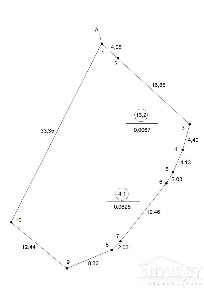 Дом в Кобрине - 310212