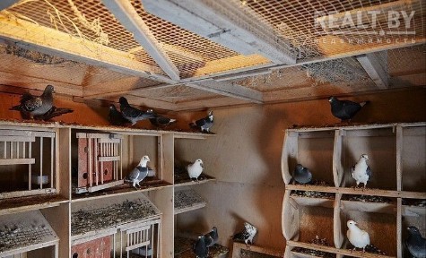 Коттедж DaKost (Лесной рай)