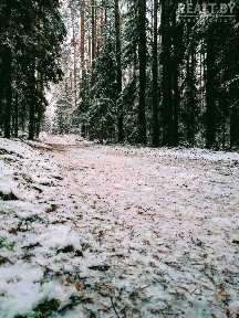 @grayhousestarina Колодищи старина баня бассейн