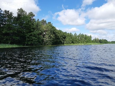 Купить дом, д. Еди, 6 (Островецкий р-н, Гродненская область)
