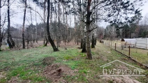 Трехкомнатная квартира, Д. Посеничи, Парковая ул. -530034