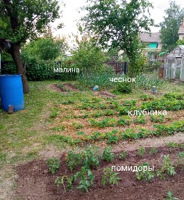 Купить 3-комнатную квартиру, аг. Холмеч, ул. Дружбы (Речицкий р-н, Гомельская область)