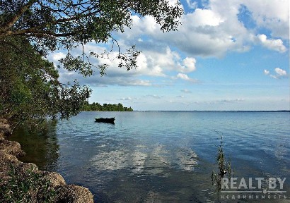 Купить дом, д. Ольсевичи (Мядельский р-н, Минская область)