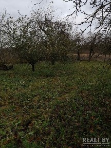 Купить дом, аг. Бель-1 (Кричевский р-н, Могилевская область)