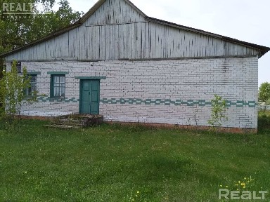 Купить дом, д. Староселье (Белыничский р-н, Могилевская область)