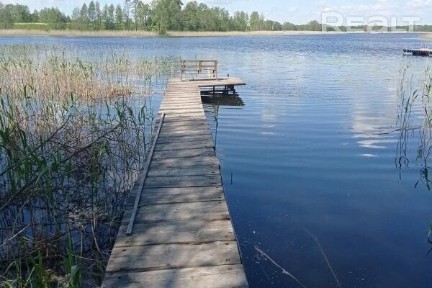 Снять коттедж на сутки, д. Шауры, 6 (Браславский р-н, Витебская область)