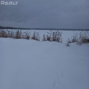 Купить дом, д. Посемковичи, 24 (Крупский р-н, Минская область)