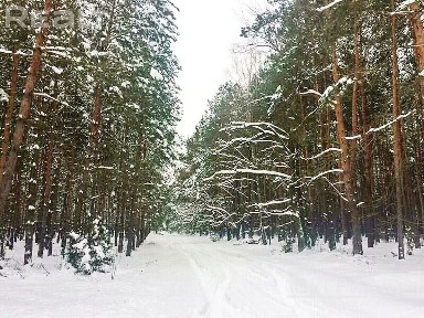 Брестская область, Брестский р-н, д. Херма