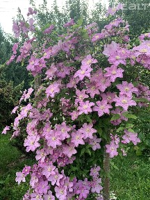 Купить коттедж, г. Горки, ул. Дальняя, 13