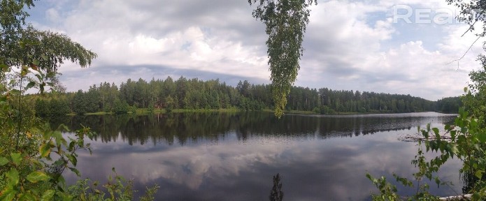 Купить дом, Богушевский с/с (Сенненский р-н, Витебская область)