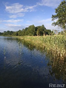 Купить дом, д. Белое (Ушачский р-н, Витебская область)