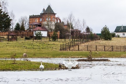 Снять коттедж на длительный срок, д. Дички, пер. Заречный, 24 (Минский р-н, Минская область)