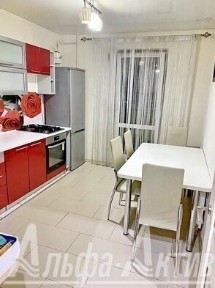 Двухкомнатная квартира, ул. Криштофовича - 240113