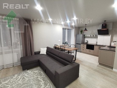 1-комнатная квартира в новостройке с евроремонтом