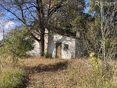 Минская область, Столбцовский р-н, д. Залужье