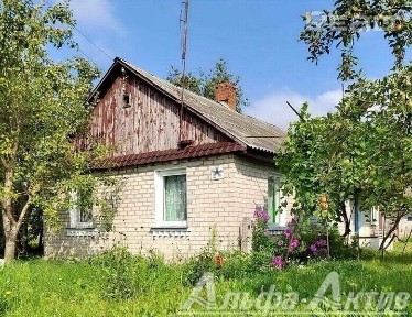 Брестская область, Брестский р-н, д. Рудавец