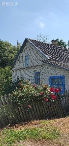 Купить дом, д. Дребск (Лунинецкий р-н, Брестская область)