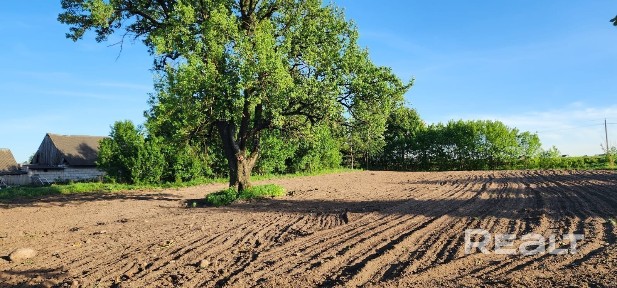 Купить дом, д. Заполье (Дятловский р-н, Гродненская область)