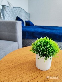 г. Могилев, ул. Грюнвальдская, 26