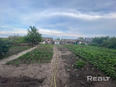 Купить дом, аг. Михальки, ул. Ветковская, 19 (Гомельский р-н, Гомельская область)