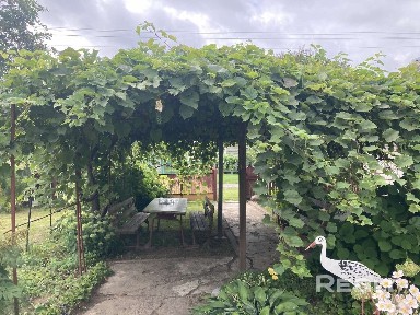 Снять дачу на длительный срок, д. Старинки, ул. Лесная, 18 (Дзержинский р-н, Минская область)