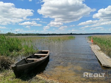 Витебская область, Браславский р-н, д. Пантелейки