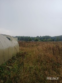 Продается дом в д. Борок в 17км. от Бобруйска.