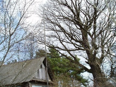 Снять полдома на длительный срок, д. Красный Бережок, ул. Центральная (Вилейский р-н, Минская область)