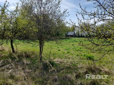 Купить дом, д. Замелочье, 2 (Бешенковичский р-н, Витебская область)