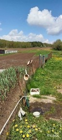 Купить дом, аг. Полужье, ул. Школьная, 22 (Кореличский р-н, Гродненская область)