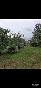 Купить дом, аг. Голынка, ул. Слонимская, 2 (Зельвенский р-н, Гродненская область)