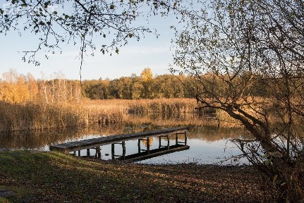 г. Кобрин, пер. Дачный, 37