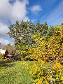 Акция на отдых в декабре! Успей забронировать свой отдых!