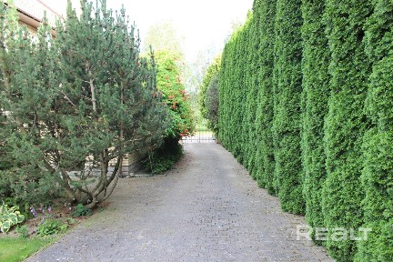 Элитный коттедж с видом на березовую рощу