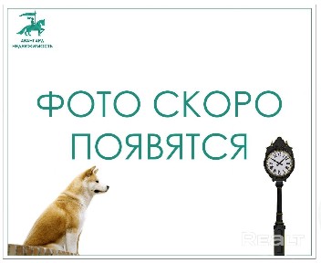 Атмосферная «Сталинка» около вокзала и площади Ленина.