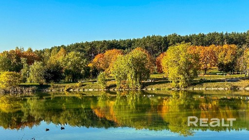 ЛУЧШЕЕ ПРЕДЛОЖЕНИЕ! Уютная 3-х комнатная квартира в спокойном, зеленом районе!