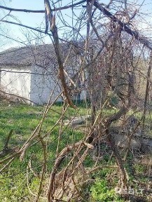 Продажа жилого дома в Брестском районе - 350177