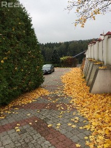 Снять коттедж на длительный срок, д. Багута, 13 (Смолевичский р-н, Минская область)