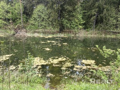 Купить коттедж, д. Павлиново, ул. Подлесная (Барановичский р-н, Брестская область)