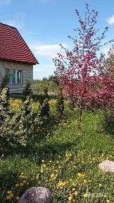 Продажа дома