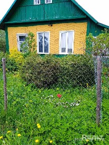 Купить дом, аг. Стасево, ул. Центральная, 58 (Лиозненский р-н, Витебская область)