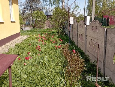 Купить дом, аг. Славное, ул. Вишневая, 14 (Толочинский р-н, Витебская область)