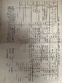 Купить дом, г. п. Ушачи, ул. Ленинская, 49 (Ушачский р-н, Витебская область)