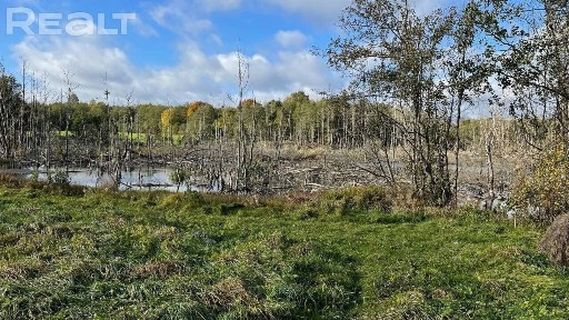 Купить дом, д. Дворчаны (Поставский р-н, Витебская область)