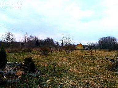 Купить дом, д. Тросница (Полоцкий р-н, Витебская область)