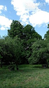 Купить дом, д. Добрунь (Докшицкий р-н, Витебская область)