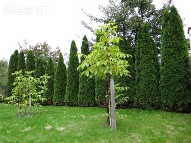 Купить коттедж, г. Гомель, ул. Транзитная 1-я