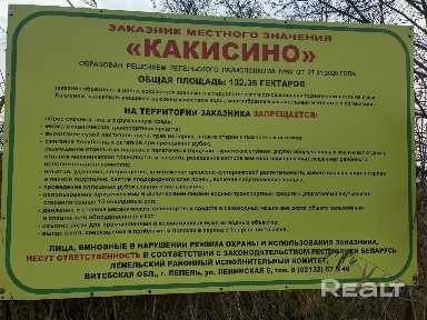 Райское место для рыбака и дачника