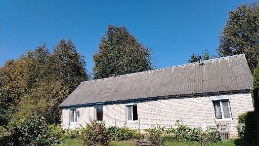 Могилевская область, Чаусский р-н, д. Киркоры, ул. Центральная, 8